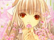 Chii-wall2_2
